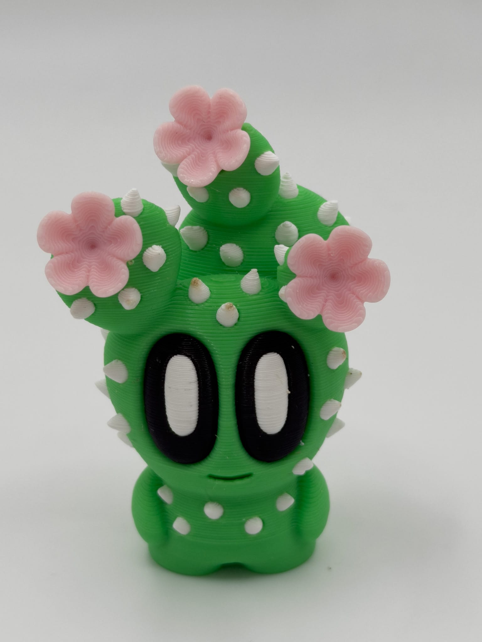 Blobplant, Blooming Prickly Pear - Image 2