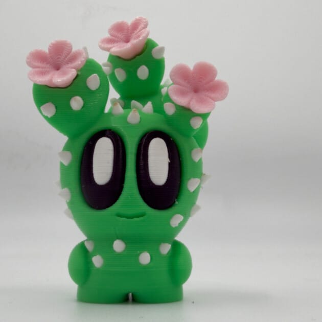 Blobplant, Blooming Prickly Pear