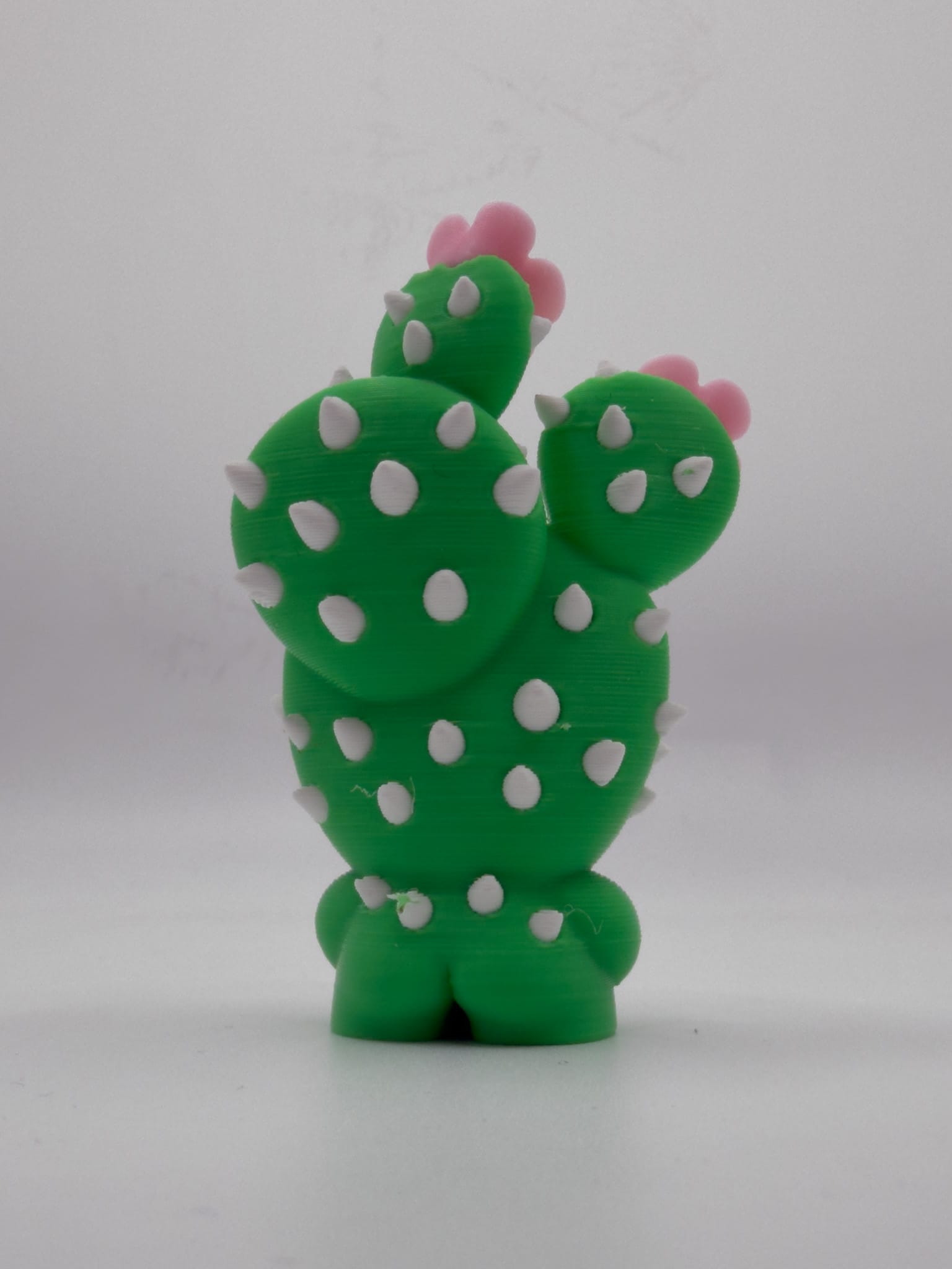 Blobplant, Blooming Prickly Pear - Image 3