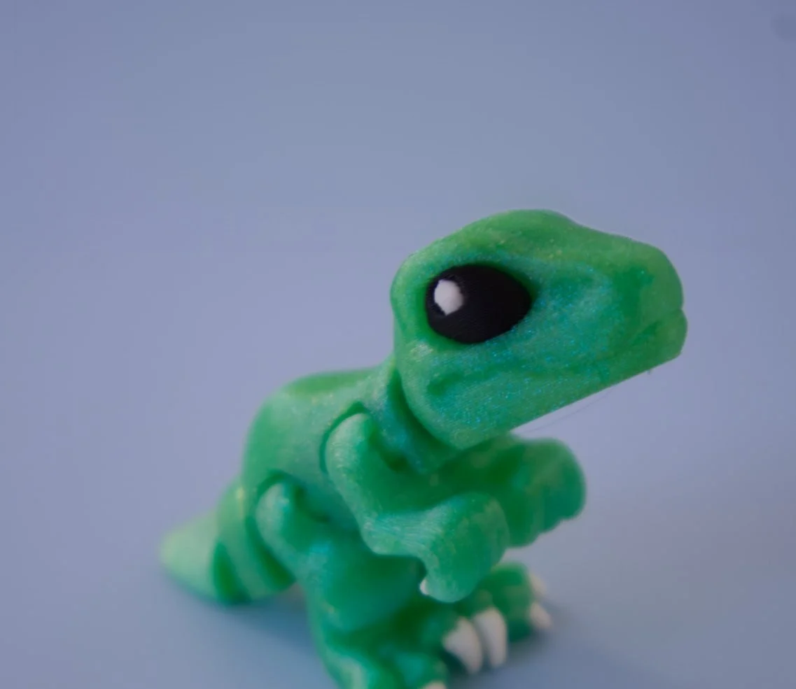 Raptor Hatchling
