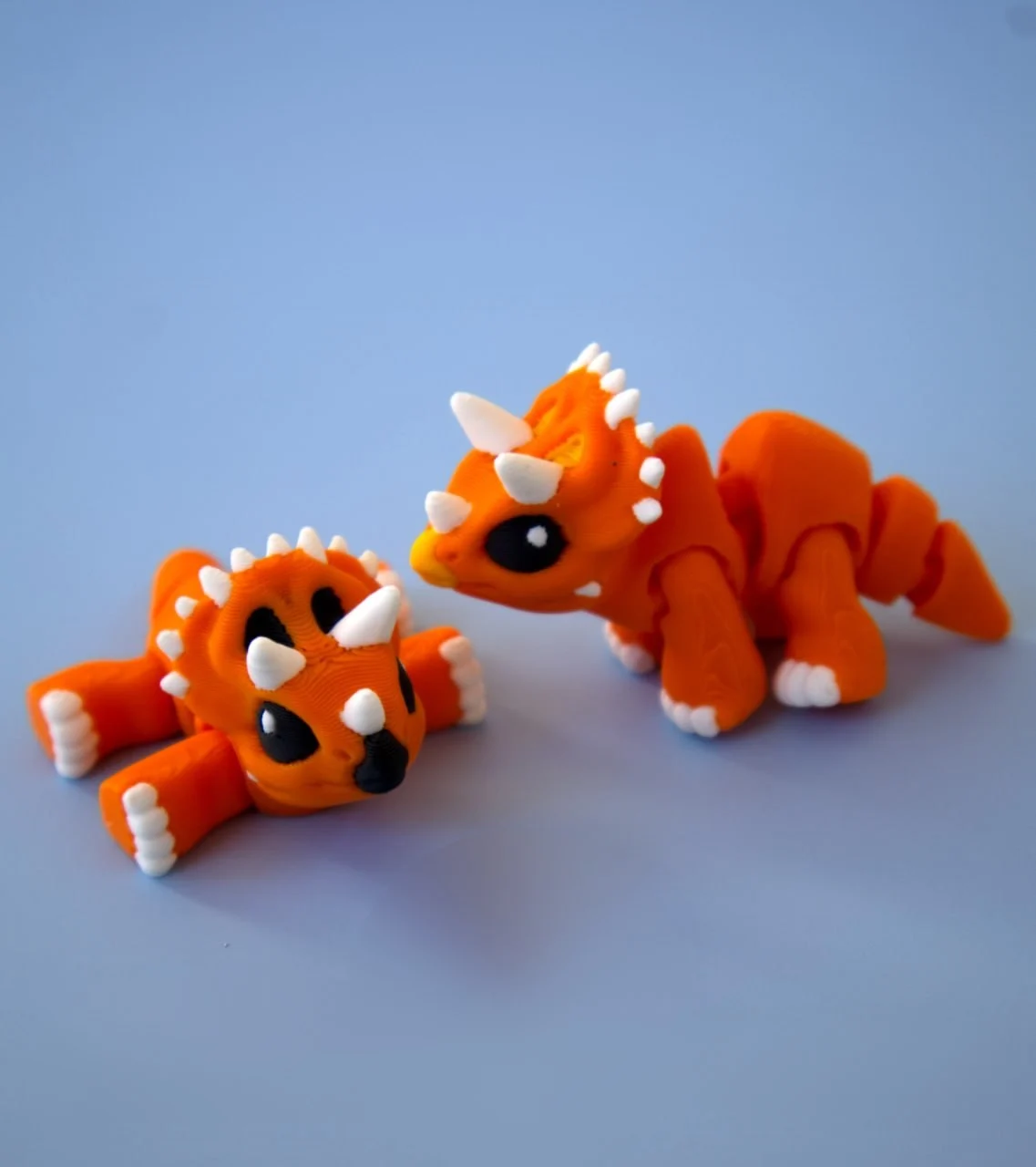 Triceratops Hatchling